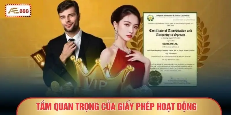 Tầm quan trọng của giấy phép hoạt động