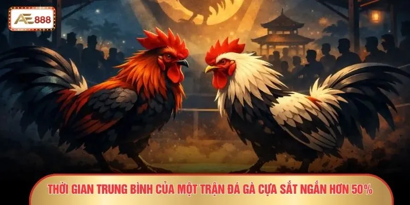 Thời gian trung bình của một trận đá gà cựa sắt ngắn hơn 50% 